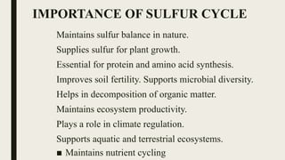 IMPORTANCE OF SULFUR CYCLE
Maintains sulfur balance in nature.
Supplies sulfur for plant growth.
Essential for protein and amino acid synthesis.
Improves soil fertility. Supports microbial diversity.
Helps in decomposition of organic matter.
Maintains ecosystem productivity.
Plays a role in climate regulation.
Supports aquatic and terrestrial ecosystems.
■ Maintains nutrient cycling
 