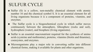 SULFUR CYCLE
■ Sulfur (S) is a yellow, non-metallic chemical element with atomic
number 16 and the chemical symbol S. It is an essential element for all
living organisms because it is a component of proteins, vitamins, and
enzymes.
■ The Sulfur cycle is a biogeochemical cycle in which sulfur moves
continuously between the atmosphere, lithosphere (rocks and soil),
hydrosphere (water), and biosphere (living organisms).
■ Sulfur is an essential macronutrient required for the synthesis of amino
acids (cysteine and methionine), proteins, vitamins (biotin and thiamine),
coenzymes, and enzymes.
■ Microorganisms play a major role in converting sulfur into different
chemical forms, making it available for plants and other organisms.
 