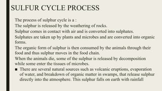 SULFUR CYCLE PROCESS
The process of sulphur cycle is a :
The sulphur is released by the weathering of rocks.
Sulphur comes in contact with air and is converted into sulphates.
Sulphates are taken up by plants and microbes and are converted into organic
forms.
The organic form of sulphur is then consumed by the animals through their
food and thus sulphur moves in the food chain.
When the animals die, some of the sulphur is released by decomposition
while some enter the tissues of microbes.
■ There are several natural sources such as volcanic eruptions, evaporation
of water, and breakdown of organic matter in swamps, that release sulphur
directly into the atmosphere. This sulphur falls on earth with rainfall.
 