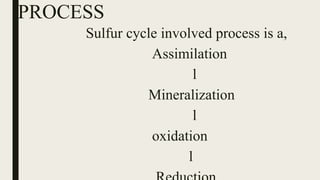 PROCESS
Sulfur cycle involved process is a,
Assimilation
l
Mineralization
l
oxidation
l
 