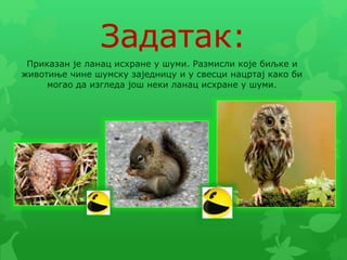 Задатак:
Приказан је ланац исхране у шуми. Размисли које биљке и
животиње чине шумску заједницу и у свесци нацртај како би
могао да изгледа још неки ланац исхране у шуми.
 