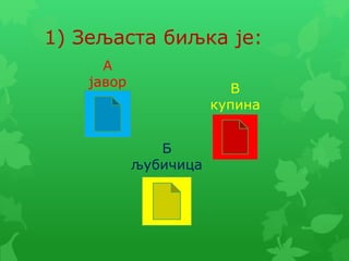 1) Зељаста биљка је:
А
јавор В
купина
Б
љубичица
 