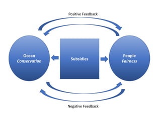 Subsidies
Ocean
Conservation
People
Fairness
Positive Feedback
Negative Feedback
 