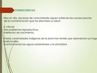•Hoy en día, docenas de comunidades siguen sufriendo las consecuencias
de la contaminación que ha afectado su salud:
 cáncer
los problemas reproductivos
defectos de nacimiento.
•Varias comunidades indígenas de la zona han tenido que abandonar sus hoga
tradicionales.
•contaminando las aguas subterráneas y la atmósfera
 