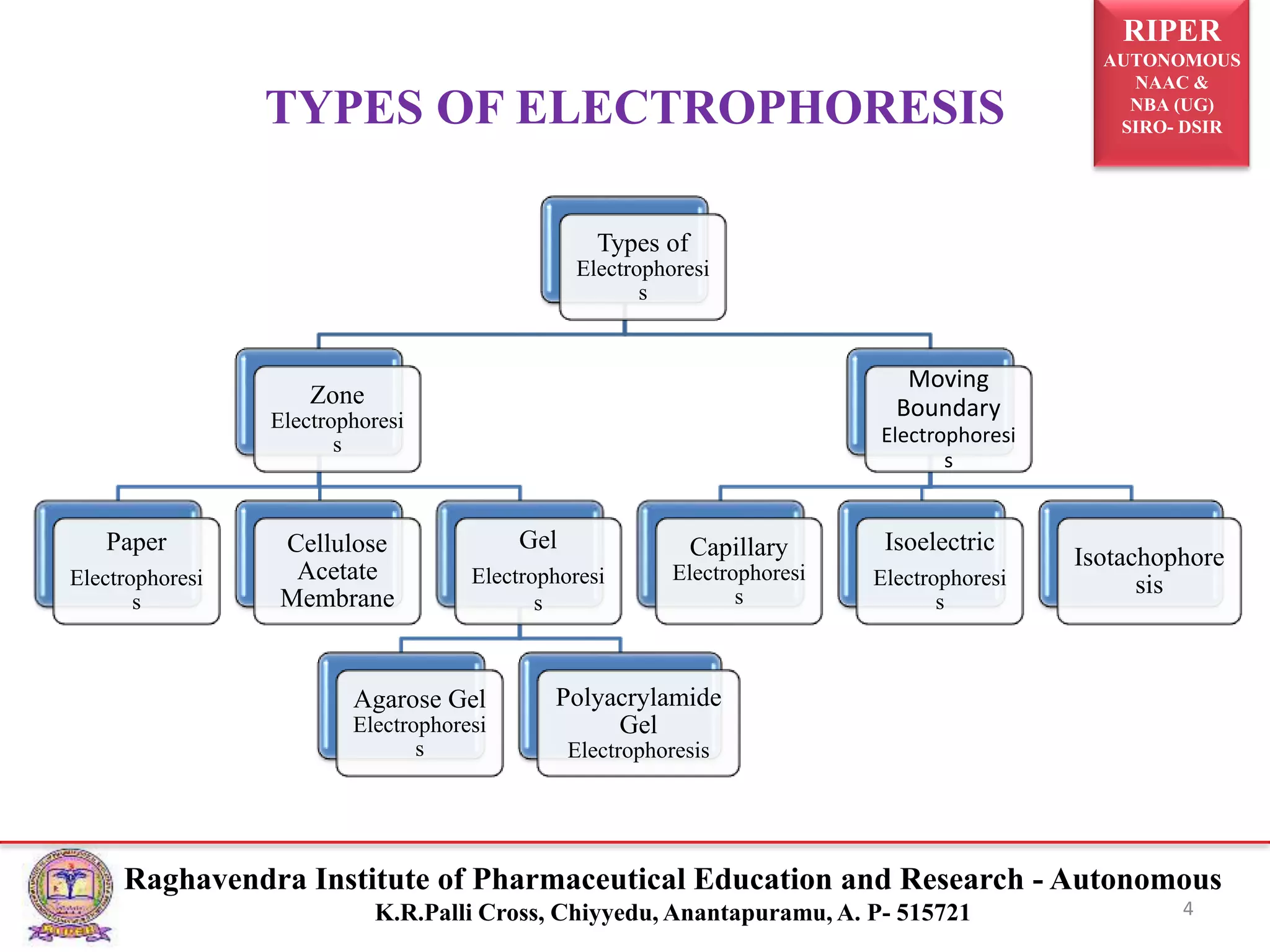 RIPER
AUTONOMOUS
NAAC &
NBA (UG)
SIRO- DSIR
Raghavendra Institute of Pharmaceutical Education and Research - Autonomous
K.R.Palli Cross, Chiyyedu, Anantapuramu, A. P- 515721 4
Types of
Electrophoresi
s
Zone
Electrophoresi
s
Paper
Electrophoresi
s
Cellulose
Acetate
Membrane
Gel
Electrophoresi
s
Agarose Gel
Electrophoresi
s
Polyacrylamide
Gel
Electrophoresis
Moving
Boundary
Electrophoresi
s
Capillary
Electrophoresi
s
Isoelectric
Electrophoresi
s
Isotachophore
sis
TYPES OF ELECTROPHORESIS
 