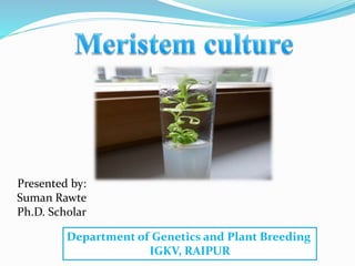 Presented by:
Suman Rawte
Ph.D. Scholar
Department of Genetics and Plant Breeding
IGKV, RAIPUR
 