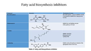 Apicoplast: an excellent target for antimalarial drug development | PPTX
