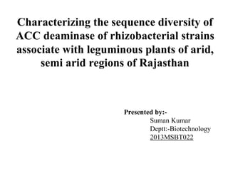 Characterizing the sequence diversity of
ACC deaminase of rhizobacterial strains
associate with leguminous plants of arid,
semi arid regions of Rajasthan
Presented by:-
Suman Kumar
Deptt:-Biotechnology
2013MSBT022
 