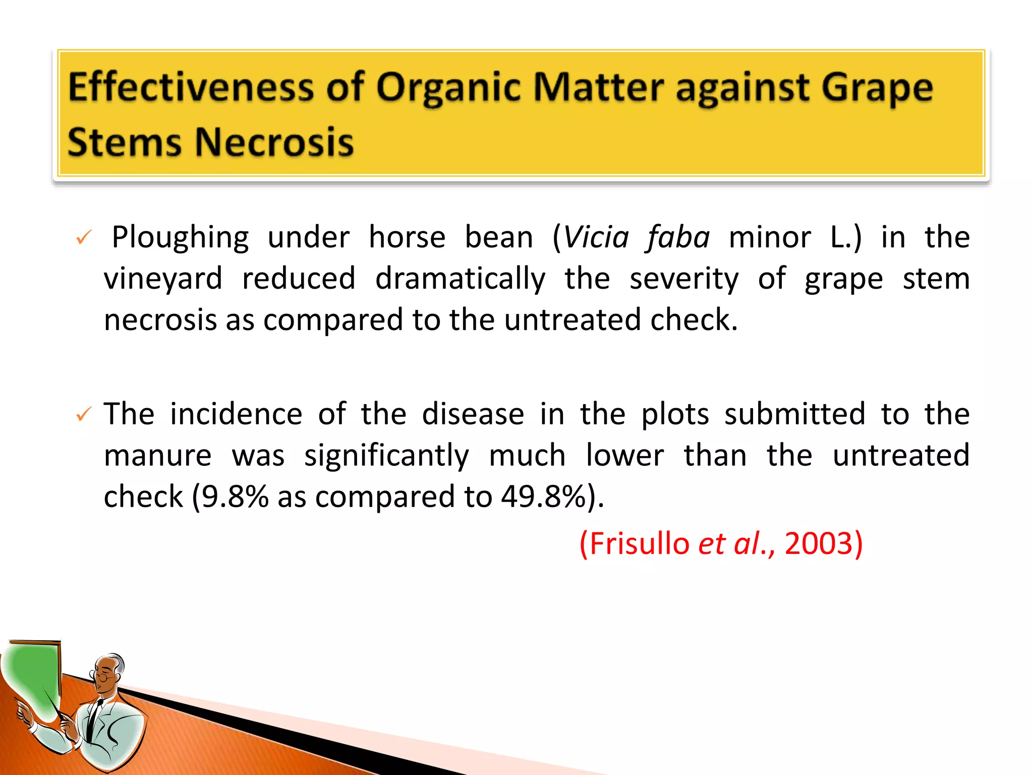  Ploughing under horse bean (Vicia faba minor L.) in the
vineyard reduced dramatically the severity of grape stem
necrosis as compared to the untreated check.
 The incidence of the disease in the plots submitted to the
manure was significantly much lower than the untreated
check (9.8% as compared to 49.8%).
(Frisullo et al., 2003)
 