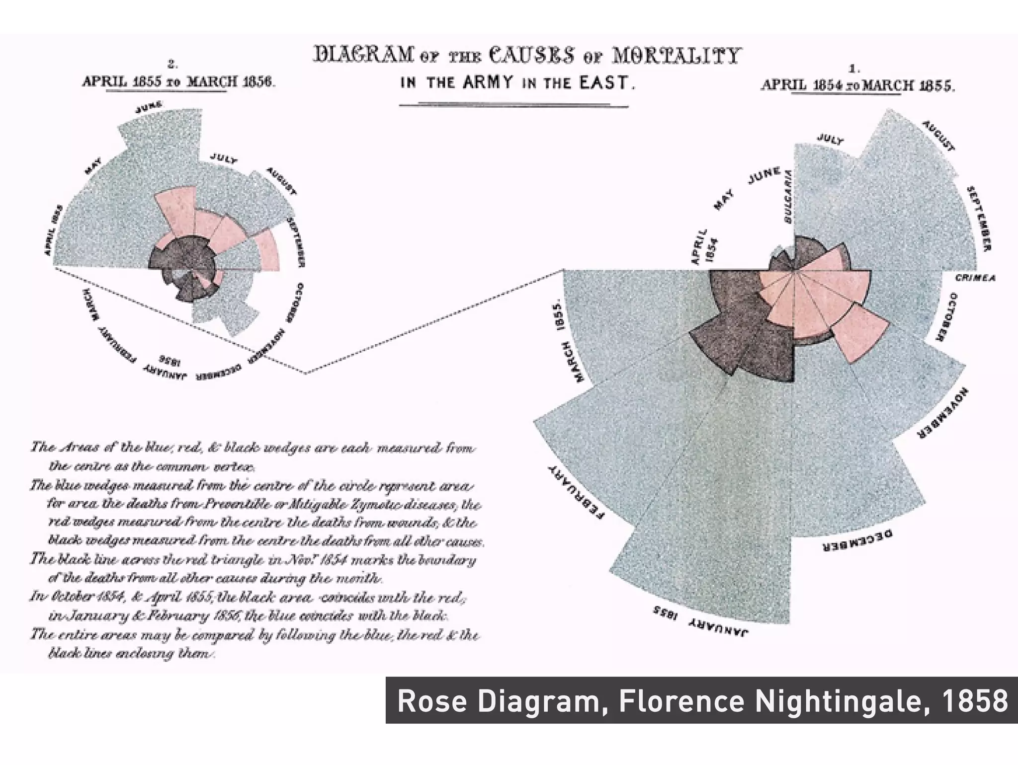 Rose Diagram, Florence Nightingale, 1858
 