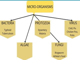 Micro-Organisms - Class 8 | PPTX