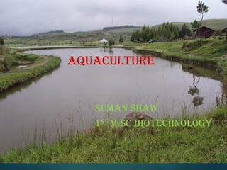 AquAculture
SuMAN SHAW
1St
M.Sc BIOtecHNOlOGY
 