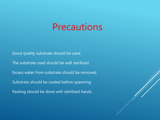 Precautions
Good quality substrate should be used.
The substrate used should be well sterilized.
Excess water from substrate should be removed.
Substrate should be cooled before spawning.
Packing should be done with sterilized hands.
 