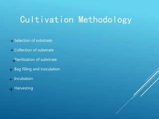 Cultivation Methodology
Selection of substrate
Collection of substrate
Sterilization of substrate
Bag filling and inoculation
Incubation
Harvesting
 