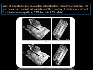 Maps of predicted soil carbon content calculated from (a) unsmoothed imagery (1-
pixel data extraction) and (b) spatially smoothed imagery (9-pixel data extraction).
Predicted values ranged from 0.4% (black) to 2.5% (white)
 