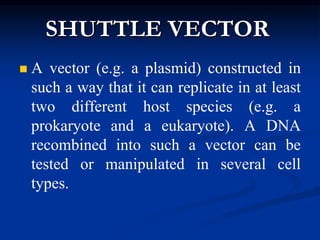 A comprehensive study of shuttle vector & binary vector and its rules ...