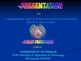 ON
A comprehensive study of shuttle vector & binary vector and its
rules of in gene transfer
A-9606/16
DEPARTMENT OF PMB&GE
N.D. University of Agriculture & Technology
Kumarganj, Faizabad
 