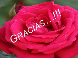 Suma, resta y multiplicación binaria