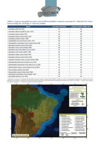 Espécie Lista Oficial (IN 05/2004) Avaliação Científica1
(ICMBio 2012)
Austrolebias adloffi (Ahl 1922) CR EN
Austrolebias alexandri (Castello & Lopes, 1974) VU EN
Austrolebias cyaneus (Amato 1987) EN CR
Austrolebias minuano Costa & Cheffe, 2001 EN EN
Austrolebias periodicus (Costa, 1999) VU VU
Campellolebias brucei Vaz-Ferreira & Sierra, 1974 CR EN
Campellolebias chrysolineatus Costa, Lacerda & Brasil 1989 VU CR
Hypsolebias alternatus (Costa & Brasil 1994) VU VU
Hypsolebias auratus (Costa & Nielsen 2000) EN CR
Hypsolebias rufus (Costa, Nielsen & de Luca 2001) VU CR
Hypsolebias similis (Costa & Hellner 1999) VU VU
Hypsolebias stellatus (Costa & Brasil 1994) VU EN
Hypsolebias trilineatus (Costa & Brasil 1994) VU VU
Leptolebias citrinipinnis (Costa, Lacerda & Tanizaki 1988) EN CR
Ophthalmolebias bokermanni (Carvalho & Cruz 1987) VU CR
Ophthalmolebias perpendicularis Costa, Nielsen & de Luca 2001 VU CR
Ophthalmolebias rosaceus (Costa, Nielsen & de Luca 2001) VU VU
Simpsonichthys parallelus Costa 2000 VU VU
Simpsonichthys zonatus (Costa & Brasil 1990) EN CR
Spectrolebias semiocellatus (Costa & Nielsen, 1997) VU X
Xenurolebias izecksohni (Cruz 1983) VU EN
Tabela 2 – Espécies contempladas nos futuros ciclos do PAN dos Rivulídeos e estado de conservação (VU – Vulnerável; CR – Critica-
mente em Perigo; EN – Em Perigo; X – Táxon não avaliado).
1
Resultado do processo de avaliação dos Rivulídeos da fauna brasileira realizado pelo ICMBio, validado em 2012 e encaminhado oficialmente ao Ministério do Meio
Ambiente para subsidiar a atualização da Lista Nacional Oficial das Espécies da Fauna Brasileira Ameaçadas de Extinção (IN 03/2003 e IN 5/2004). – * Espécie-focal, seguida
das espécies simpátricas – ** Espécie de anfíbio beneficiada pelo PAN.
 
