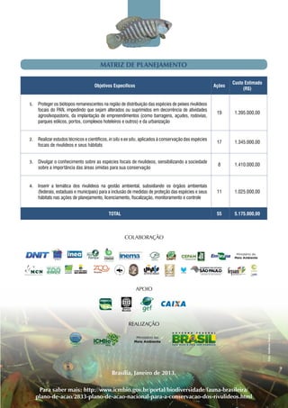 COLABORAÇÃO
Realização
Para saber mais: http://www.icmbio.gov.br/portal/biodiversidade/fauna-brasileira/
plano-de-acao/2833-plano-de-acao-nacional-para-a-conservacao-dos-rivulideos.html
Objetivos Específicos Ações
Custo Estimado
(R$)
1.	 Proteger os biótopos remanescentes na região de distribuição das espécies de peixes rivulídeos
focais do PAN, impedindo que sejam alterados ou suprimidos em decorrência de atividades
agrosilvopastoris, da implantação de empreendimentos (como barragens, açudes, rodovias,
parques eólicos, portos, complexos hoteleiros e outros) e da urbanização
19 1.395.000,00
2.	 Realizar estudos técnicos e científicos, in situ e ex situ, aplicados à conservação das espécies
focais de rivulídeos e seus hábitats
17 1.345.000,00
3.	 Divulgar o conhecimento sobre as espécies focais de rivulídeos, sensibilizando a sociedade
sobre a importância das áreas úmidas para sua conservação
8 1.410.000,00
4.	 Inserir a temática dos rivulídeos na gestão ambiental, subsidiando os órgãos ambientais
(federais, estaduais e municipais) para a inclusão de medidas de proteção das espécies e seus
hábitats nas ações de planejamento, licenciamento, fiscalização, monitoramento e controle
11 1.025.000,00
TOTAL 55 5.175.000,00
MATRIZ DE PLANEJAMENTO
Ministério do
Meio Ambiente
Apoio
Brasília, Janeiro de 2013.
Foto:MatheusVolcan
Ministério do
Meio Ambiente
 