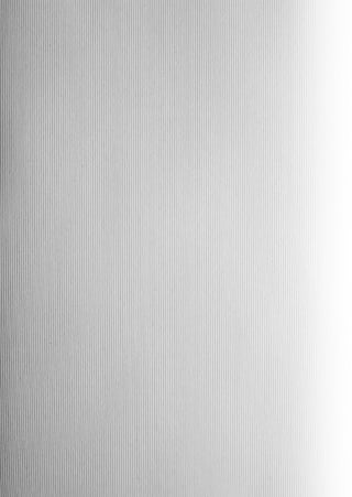 R E NATA D I N I Z O




20
 