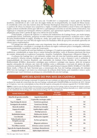 A Caatinga abrange uma área de cerca de 735.000 km² e compreende a maior parte do Nordeste
brasileiro, estendendo-se até o vale seco da região média do rio Jequitinhonha, no estado de Minas Gerais.
É considerada como uma das maiores áreas de Florestas Neotropicais Estacionais Secas da América do Sul e
a ausência de chuva na estação seca caracteriza a região. A média pluviométrica anual é baixa com algumas
regiões centrais recebendo menos que 500 mm e a precipitação concentra-se em três meses consecutivos. Sua
vegetação é composta por formações arbórea e arbustiva, que apresentam espinhos, folhas pequenas e outras
adaptações para evitar a perda de água e/ou retê-la em seus tecidos.
       A diversidade, a riqueza de espécies e o número de endemismos da Caatinga foram, por muito tempo,
considerados baixos. Entretanto, pesquisas recentes relataram números expressivos e acabaram com o “mito”
da baixa biodiversidade na região. Acredita-se, ainda, que pode haver um aumento no número de espécies
conhecidas, visto que cerca de 40% da região nunca foi estudada e 80% do que já foi amostrado apresenta um
esforço pouco representativo.
       A Caatinga tem sido apontada como uma importante área de endemismo para as aves sul-americanas,
porém a distribuição, a evolução e a ecologia da avifauna da região continuam pouco investigadas, refletindo,
consequentemente, na política e ações de conservação.
       Existem 510 espécies de aves que habitam as caatingas e 23 espécies que podem ser caracterizadas como
endêmicas, considerando as matas secas e outras formações decíduas, como as florestas estacionais das áreas
de contato, destacando-se os gêneros Cyanopsitta, Anopetia, Gyalophylax, Megaxenops e Rhopornis (Mapa 1).
       A avifauna da Caatinga não é um elemento isolado, mas sim uma das inúmeras partes que compõem
este suscetível e diverso mosaico biológico que se relaciona entre si, com o homem e com o ambiente. É
responsabilidade do Governo Brasileiro, por intermédio do Instituto Chico Mendes de Conservação da
Biodiversidade (ICMBio), desenvolver estratégias para conhecer e proteger esta riqueza, além de recuperar
aquelas ameaçadas de extinção, por meio de medidas como a elaboração e execução de planos de ação,
conforme estabelecido pela Portaria ICMBio nº 78/2009 e pela Portaria Conjunta MMA e ICMBio nº 316/2009.
Deste modo, o Plano de Ação Nacional para a conservação das Aves da Caatinga ameaçadas de extinção
(PAN Aves da Caatinga) é um marco na conservação da avifauna deste bioma, pois estabelece metas e ações
prioritárias que visam minimizar as ameaças às comunidades de aves da Caatinga.

                        ESPÉCIES-ALVO DO PAN AVES DA CAATINGA
         O PAN Aves da Caatinga contempla 14 espécies de aves avaliadas em algum grau de ameaça durante a oficina de
avaliação do estado de conservação das aves da Caatinga, realizada pelo CEMAVE/ICMBio em fevereiro de 2011. Dentre
as 14 espécies, nove são contempladas na lista oficial de espécies ameaçadas de extinção segundo IN n° 03/2003 MMA.
Tabela 1 – Espécies-alvo do Plano de Ação Nacional para a conservação das Aves da Caatinga. Espécies ameaçadas de extinção conforme
a lista oficial vigente IN n° 03/2003 MMA, Livro Vermelho da Fauna Brasileira Ameaçada de Extinção (Machado et al., 2008) e IUCN Red
List. VU- Vulnerável; EN- Em Perigo; CR – Criticamente em Perigo; NT – Quase Ameaçada.
                                                                          IN MMA                Machado
        NOME POPULAR                             TÁXON                                                                 IUCN
                                                                         nº 03/2003            et al., 2008
  Beija-flor-de-gravata-vermelha           Augastes lumachella                                                           NT
              Zabelê                  Crypturellus noctivagus zabele
     Papa-formiga-do-sincorá              Formicivora grantsaui                                                          NT
     Formigueiro-do-nordeste               Formicivora iheringi                                                          NT
        Maria-do-nordeste                 Hemitriccus mirandae                 X                    EN                   VU
        Arapaçu-de-wagler                 Lepidocolaptes wagleri               X                   VU
             Jacucaca                       Penelope jacucaca                  X                   VU                    VU
       Borboletinha-baiana                 Phylloscartes beckeri               X                    EN                   EN
           Cara-dourada                   Phylloscartes roquettei              X                    CR                   EN
      Tiriba-de-peito-cinza e
                                           Pyrrhura griseipectus               X                    CR                   CR
        Periquito-cara-suja
           Gravatazeiro                    Rhopornis ardesiacus                X                    EN                   EN
       Vira-folhas-cearense             Sclerurus scansor cearensis            X                   VU
 Tapaculo-da-chapada-diamantina         Scytalopus diamantinensis                                                        NT
       Arapaçu-do-nordeste               Xiphocolaptes falcirostris            X                   VU                    VU

Foto da capa: Fabio Nunes / AQUASIS
 