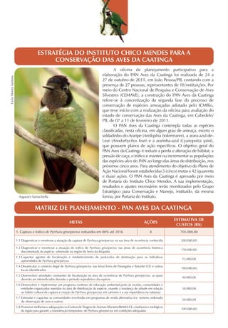 ESTRATÉGIA DO INSTITUTO CHICO MENDES PARA A
                                              CONSERVAÇÃO DAS AVES DA CAATINGA
                                                                                                    A oficina de planejamento participativo para a
                                                                                            elaboração do PAN Aves da Caatinga foi realizada de 24 a
Cyrio Silveira Santana




                                                                                            27 de outubro de 2011, em João Pessoa/PB, contando com a
                                                                                            presença de 27 pessoas, representantes de 18 instituições. Por
                                                                                            meio do Centro Nacional de Pesquisa e Conservação de Aves
                                                                                            Silvestres (CEMAVE), a construção do PAN Aves da Caatinga
                                                                                            refere-se à concretização da segunda fase do processo de
                                                                                            conservação de espécies ameaçadas adotado pelo ICMBio,
                                                                                            que teve início com a realização da oficina para avaliação do
                                                                                            estado de conservação das Aves da Caatinga, em Cabedelo/
                                                                                            PB, de 07 a 11 de fevereiro de 2011.
                                                                                                    O PAN Aves da Caatinga contempla todas as espécies
                                                                                            classificadas, nesta oficina, em algum grau de ameaça, exceto o
                                                                                            soldadinho-do-Araripe (Antilophia bokermanni), a arara-azul-de-
                                                                                            Lear (Anodorhychus leari) e a ararinha-azul (Cyanopsitta spixii),
                                                                                            que possuem planos de ação específicos. O objetivo geral do
                                                                                            PAN Aves da Caatinga é reduzir a perda e alteração de hábitat, a
                                                                                            pressão de caça, o tráfico e manter ou incrementar as populações
                                                                                            das espécies-alvo do PAN ao longo das áreas de distribuição, nos
                                                                                            próximos cinco anos. Para atendimento do objetivo do Plano de
                                                                                            Ação Nacional foram estabelecidas 5 (cinco) metas e 42 (quarenta
                                                                                            e duas) ações. O PAN Aves da Caatinga é aprovado por meio
                                                                                            de Portaria do Instituto Chico Mendes. A sua implementação,
                                                                                            resultados e ajustes necessários serão monitorados pelo Grupo
                                                                                            Estratégico para Conservação e Manejo, instituído, da mesma
                           Augastes lumachella                                              forma, por Portaria do Instituto.

                                       MATRIZ DE PLANEJAMENTO - PAN AVES DA CAATINGA
                                                                                                                                              ESTIMATIVA DE
                                                                  METAS                                                     AÇÕES
                                                                                                                                               CUSTOS (R$)
                         1. Captura e tráfico de Pyrrhura griseipectus reduzidos em 80% até 2016                                8               705.000,00

                         1.1 Diagnosticar e monitorar a situação da captura de Pyrrhura griseipectus na sua área de ocorrência conhecida         200.000,00

                         1.2 Diagnosticar e monitorar a situação do tráfico de Pyrrhura griseipectus nas áreas de ocorrência histórica
                                                                                                                                                 150.000,00
                             documentada da espécie, sobretudo na região da Serra da Ibiapaba
                         1.3 Capacitar agentes de fiscalização e estabelecimento de protocolos de destinação para os indivíduos
                                                                                                                                                 15.000,00
                             apreendidos de Pyrrhura griseipectus
                         1.4 Desarticular o comécio ilegal de Pyrrhura griseipectus nas feiras livres de Parangaba e Baturité (CE) e outros
                                                                                                                                                 100.000,00
                             locais identificados
                         1.5 Desenvolver atividades constantes de fiscalização na área de ocorrência de Pyrrhura griseipectus, as quais
                                                                                                                                                 40.000,00
                             deverão ser intensificadas durante o período reprodutivo da espécie
                         1.6 Desenvolver e implementar um programa contínuo de educação ambiental junto às escolas, comunidades e
                             entidades organizadas inseridas na área de distribuição da espécie, visando a mudança de atitude em relação         50.000,00
                             ao hábito cultural de captura e criação de Pyrrhura griseipectus em cativeiro e a sua importância na natureza
                         1.7 Estimular e capacitar as comunidades envolvidas em programas de renda alternativa (ex: turismo ordenado
                                                                                                                                                 50.000,00
                             de observação de aves e outros)
                         1.8 Promover melhorias e adequações no Centros de Triagem de Animais Silvestres/IBAMA-CE, criadouros e zoológicos
                                                                                                                                                 100.000,00
                             da região para garantir a manutenção temporária de Pyrrhura griseipectus em condições adequadas
 