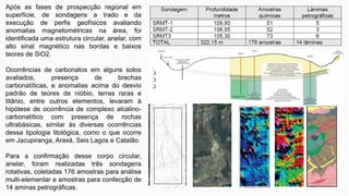 Após as fases de prospecção regional em
superfície, de sondagens a trado e da
execução de perfis geofísicos avaliando
anomalias magnetométricas na área, foi
identificada uma estrutura circular, anelar, com
alto sinal magnético nas bordas e baixos
teores de SiO2.
Ocorrências de carbonatos em alguns solos
avaliados, presença de brechas
carbonatíticas, e anomalias acima do desvio
padrão de teores de nióbio, terras raras e
titânio, entre outros elementos, levaram à
hipótese de ocorrência de complexo alcalino-
carbonatítico com presença de rochas
ultrabásicas, similar às diversas ocorrências
dessa tipologia litológica, como o que ocorre
em Jacupiranga, Araxá, Seis Lagos e Catalão.
Para a confirmação desse corpo circular,
anelar, foram realizadas três sondagens
rotativas, coletadas 176 amostras para análise
multi-elementar e amostras para confecção de
14 aminas petrográficas.
 