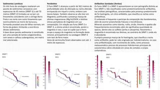 Sedimentos Lamíticos
Os três furos de sondagens revelaram um
pacote de sedimentos cenozoicos com
espessuras de 45 metros (SRMT-3) a até 70
metros (SRMT-2) limitados ao sul por um
lineamento coincidente com o córrego Barro
Preto e ao norte com outro lineamento que
ocorre próximo ao morro do Surucucu,
formando provável zona de falhas normais, em
forma de graben, limitando a ocorrência
desses sedimentos.
A base desse pacote sedimentar é constituído
por uma camada de lamito conglomerático,
com seixos e calhaus subangulosos, em matriz
mal selecionada.
Peridotitos
O furo SRMT-1 alcançou a partir de 58,5 metros de
profundidade solos de alteração ou rocha alterada
enriquecida em níquel e cromo, embora com
teores baixos. Também observa-se alto teor em
Magnésio, justificando a presença maciça de
olivinas magnesianas (Mg,Fe)2SiO4, e biotitas
(micas portadoras de magnésio em sua
composição). Em relação aos furos SRMT-2 e
SRMT-3, a olivina ainda é encontrada, porém o
magnésio é raro, o que se supõe que o Ferro
ocupa o espaço do magnésio na formação deste
mineral, principalmente na sondagem SRMT-3
com teor de ferro maior.
Veios de vermiculita foram observados com até 1
metro de espessura.
Anfibolitos bandados (fenitos)
Os furos SRMT-2 e SRMT-3 apresentaram-se com petrografia distinta ao
furo SRMT-1. São classificados como predominantemente anfibolitos,
nas análises petrográficas, caracterizados pela presença predominante
de Fe-hastingsita, um clino-anfobólio, que classifica as rochas como
anfibolíticas.
O carbonato é frequente e participa da composição dos bandamentos,
além de ocorrer preenchendo fraturas e microfraturas.
Minerais acessórios como titanita, rutilo, zircão, ilmenita e apatita são
frequentemente encontrados além de significativa quantidade de
opacos, dentre eles os sulfetos (pirita e calcopirita). Raramente a
magnetita é encontrada nas lâminas, ao contrário do SRMT-1 onde ela
é abundante.
A própria presença maciça de Fe-hastingsita, que classifica a rocha
como anfibolito, pode ter sido originada por hidrotermalismo, no caso
uma anfibolitização, com incremento de sódio, como processo
metassomático precoce de processos hidrotermais principais de
característica cálcio-silicatada em zonas de contatos a corpos
carbonáticos.
 