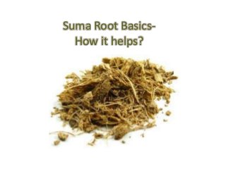Suma Root Basics-
How it helps?
 