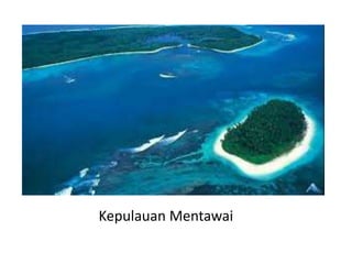 Kepulauan Mentawai
 
