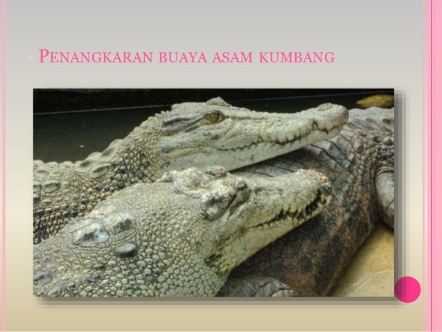 Sumatera utara