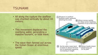 TSUNAMI
• All along the rupture the seafloor
was shunted vertically by about 10
meters.
• This movement displaced the
overlying water, generating a
massive tsunami, or tidal wave.
• The wave then fanned out across
the Indian Ocean at enormous
speed.
 