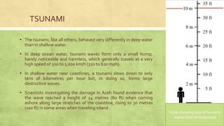 ▪ The tsunami, like all others, behaved very differently in deep water
than in shallow water.
▪ In deep ocean water, tsunami waves form only a small hump,
barely noticeable and harmless, which generally travels at a very
high speed of 500 to 1,000 km/h (310 to 620 mph).
▪ In shallow water near coastlines, a tsunami slows down to only
tens of kilometres per hour but, in doing so, forms large
destructive waves.
▪ Scientists investigating the damage in Aceh found evidence that
the wave reached a height of 24 metres (80 ft) when coming
ashore along large stretches of the coastline, rising to 30 metres
(100 ft) in some areas when traveling inland.
TSUNAMI
Scale showing size of tsunami
waves that hit Indonesia
 