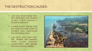 • Low lying coastal areas were
left obliterated and flooded
as here in Aceh province in
Sumatra, Indonesia.
• Current reports indicate that
the north and west coasts of
Sumatra have experienced
the worst destruction.
• Low lying areas have been
left flooded with seawater
which quickly becomes
contaminated with sewage
and decomposing bodies.
THE DESTRUCTION CAUSED:
 