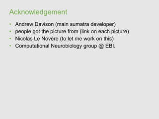 Acknowledgement
•   Andrew Davison (main sumatra developer)
•   people got the picture from (link on each picture)
•   Nicolas Le Novère (to let me work on this)
•   Computational Neurobiology group @ EBI.
 