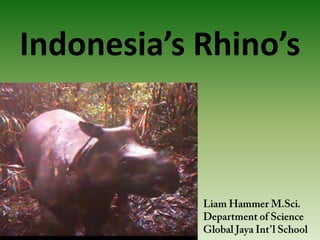 Indonesia’s Rhino’s


   Liam Hammer
   Department of Science
   Global Jaya International School
 