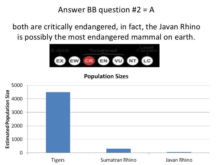 javan rhinoceros population 2014 javan rhinoceros population 2014