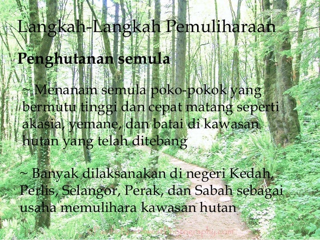 Langkah-Langkah Pengurusan Sumber Hutan