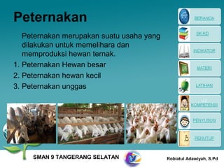 Peternakan
   Peternakan merupakan suatu usaha yang
   dilakukan untuk memelihara dan
   memproduksi hewan ternak.
1. Peternakan Hewan besar
2. Peternakan hewan kecil
3. Peternakan unggas




     SMAN 9 TANGERANG SELATAN              Robiatul Adawiyah, S.Pd
 