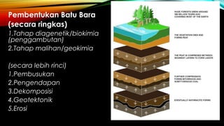 Pembentukan Batu Bara
(secara ringkas)
1.Tahap diagenetik/biokimia
(penggambutan)
2.Tahap malihan/geokimia
(secara lebih rinci)
1.Pembusukan
2.Pengendapan
3.Dekomposisi
4.Geotektonik
5.Erosi
 