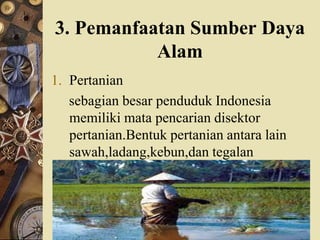 3. Pemanfaatan Sumber Daya
Alam
1. Pertanian
sebagian besar penduduk Indonesia
memiliki mata pencarian disektor
pertanian.Bentuk pertanian antara lain
sawah,ladang,kebun,dan tegalan
 