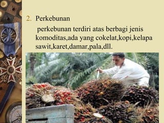 2. Perkebunan
perkebunan terdiri atas berbagi jenis
komoditas,ada yang cokelat,kopi,kelapa
sawit,karet,damar,pala,dll.
 