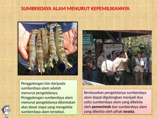 SUMBERDAYA ALAM MENURUT KEPEMILIKANNYA
Penggolongan lain daripada
sumberdaya alam adalah
menurut pengelolanya.
Penggolongan sumberdaya alam
menurut pengelolanya ditentukan
atas dasar siapa yang mengelola
sumberdaya alam tersebut.
Berdasarkan pengelolanya sumberdaya
alam dapat digolongkan menjadi dua
yaitu sumberdaya alam yang dikelola
oleh pemerintah dan sumberdaya alam
yang dikelola oleh pihak swasta.
 
