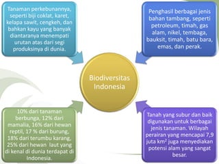 Biodiversitas
Indonesia
10% dari tanaman
berbunga, 12% dari
mamalia, 16% dari hewan
reptil, 17 % dari burung,
18% dari terumbu karang,
25% dari hewan laut yang
di kenal di dunia terdapat di
Indonesia.
Tanaman perkebunannya,
seperti biji coklat, karet,
kelapa sawit, cengkeh, dan
bahkan kayu yang banyak
diantaranya menempati
urutan atas dari segi
produksinya di dunia.
Penghasil berbagai jenis
bahan tambang, seperti
petroleum, timah, gas
alam, nikel, tembaga,
bauksit, timah, batu bara,
emas, dan perak.
Tanah yang subur dan baik
digunakan untuk berbagai
jenis tanaman. Wilayah
perairan yang mencapai 7,9
juta km2 juga menyediakan
potensi alam yang sangat
besar.
 
