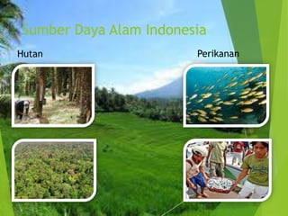 Sumber Daya Alam Indonesia
Hutan                   Perikanan
 