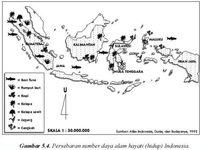 Sumber daya alam di indonesia