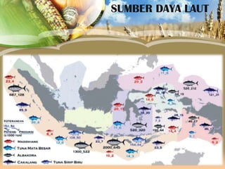 SUMBER DAYA LAUT

 