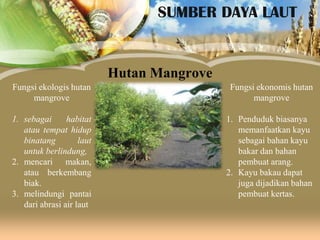 SUMBER DAYA LAUT

Hutan Mangrove
Fungsi ekologis hutan
mangrove

Fungsi ekonomis hutan
mangrove

1. sebagai
habitat
atau tempat hidup
binatang
laut
untuk berlindung,
2. mencari makan,
atau berkembang
biak.
3. melindungi pantai
dari abrasi air laut

1. Penduduk biasanya
memanfaatkan kayu
sebagai bahan kayu
bakar dan bahan
pembuat arang.
2. Kayu bakau dapat
juga dijadikan bahan
pembuat kertas.

 