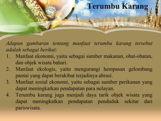 Terumbu Karang

Adapun gambaran tentang manfaat terumbu karang tersebut
adalah sebagai berikut:
1. Manfaat ekonomi, yaitu sebagai sumber makanan, obat-obatan,
dan objek wisata bahari.
2. Manfaat ekologis, yaitu mengurangi hempasan gelombang
pantai yang dapat berakibat terjadinya abrasi.
3. Manfaat sosial ekonomi, yaitu sebagai sumber perikanan yang
dapat meningkatkan pendapatan para nelayan.
4. Terumbu karang juga menjadi daya tarik objek wisata yang
dapat meningkatkan pendapatan penduduk sekitar dari
pariswisata.

 